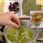 Dodajte Ovaj List u Vašu Vodu sa Klinčićima i Pojačajte Njenu Moć