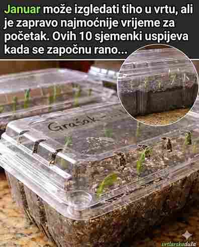 10 Sjemenki Koje Treba Posaditi u Januaru