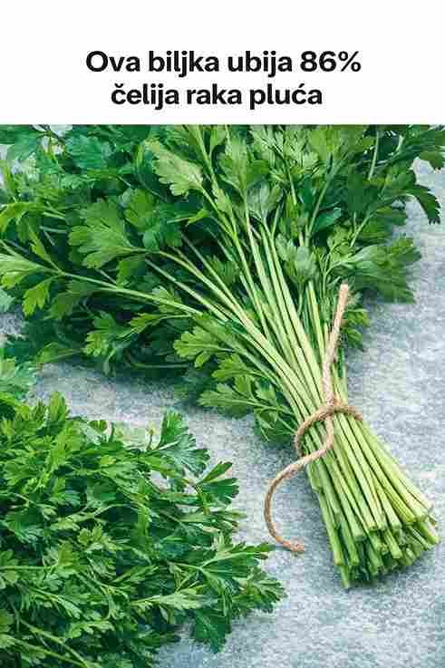 Biljka koja pokazuje potencijalno djelovanje protiv ćelija raka pluća – šta kaže nauka?