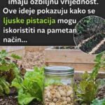7 Genijalnih razloga zašto nikada ne biste trebali bacati ljuske pistacija