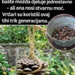 Zašto biste trebali okačiti šišarku blizu svog vrta