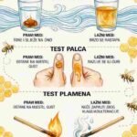 Kako provjeriti da li je med čist ili lažan 🍯