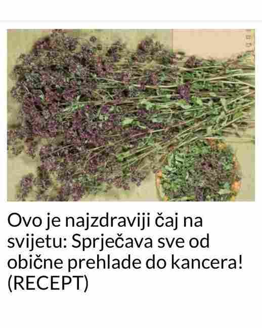 Bez obzira da li se sjemenke papaje koriste sirove, sušene, mljevene ili u obliku čaja, njihov utjecaj na zdravlje je izuzetno značajan.