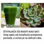 Imate li problema sa štitnjačom? Ovaj prirodni zapis od čuvarkuće provjereno pomaže — evo kako da ga napravite! 🌿✨
