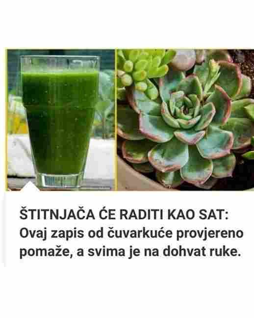 Imate li problema sa štitnjačom? Ovaj prirodni zapis od čuvarkuće provjereno pomaže — evo kako da ga napravite! 🌿✨