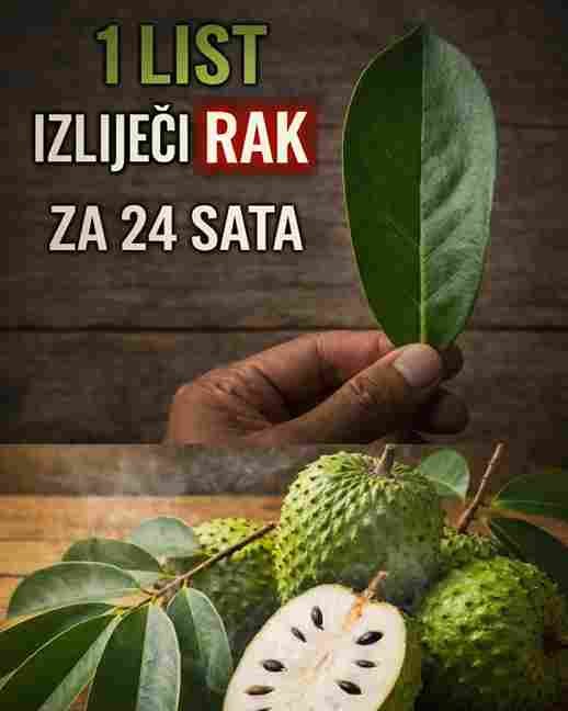 Apoteke vam ovo nikada neće reći – list koji je poznat po snažnim zaštitnim svojstvima