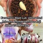 Karanfilić i Bijeli Luk: Ultimativni Prirodni Antimikrobni Duo 🧄🌿✨
