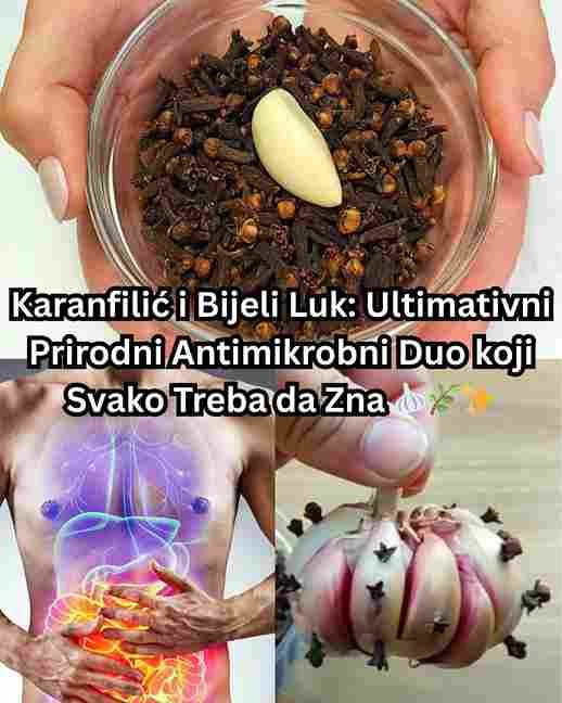 Karanfilić i Bijeli Luk: Ultimativni Prirodni Antimikrobni Duo 🧄🌿✨