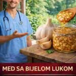 Kombinacija bijelog luka i meda na prazan stomak – 7 dana za podršku zdravlju 🌿🍯