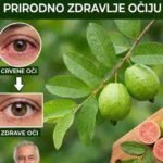 Kako koristiti guavu za ublažavanje problema s očima: prirodni načini za njegu vida