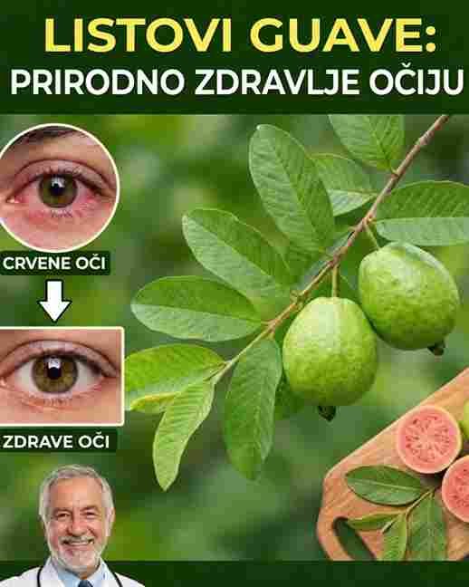 Kako koristiti guavu za ublažavanje problema s očima: prirodni načini za njegu vida