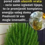 Ružmarin – čudesna biljka za zdravlje, kosu i kuhinju 🌿✨