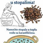 Svaka žena treba znati da karanfilić ima moć da…