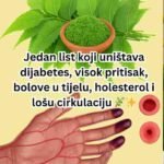 Jedan list koji uništava dijabetes, visok pritisak, bolove u tijelu, holesterol i lošu cirkulaciju 🌿✨