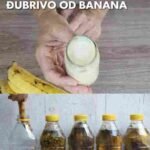 Svi vole banane, ali većina ljudi baca kore – velika greška!