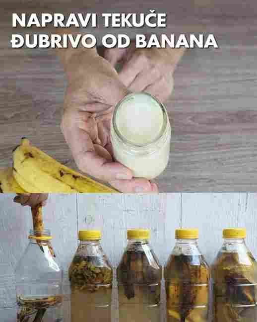 Svi vole banane, ali većina ljudi baca kore – velika greška!