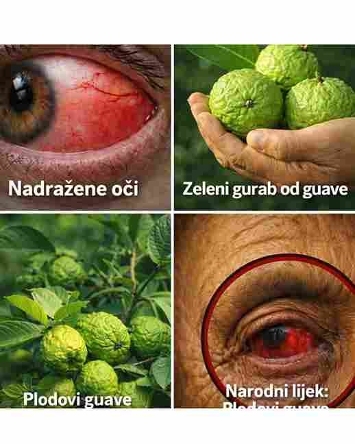 Kako koristiti guavu za probleme s očima – prirodni lijekovi za zdravlje vida