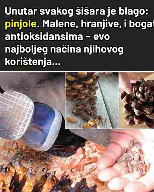 Pinjoli: Male sjemenke sa ogromnim zdravstvenim prednostima