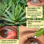 Aloe Vera za Zdravlje Očiju: Prirodno Olakšanje za Crvenilo, Suhe Oči i Iritacije
