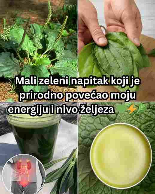 Mali zeleni napitak koji je prirodno povećao moju energiju i nivo željeza 💚⚡🥬