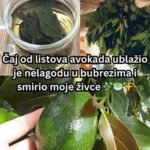 Čaj od listova avokada ublažio je nelagodu u bubrezima i smirio moje živce 🌿🍵✨
