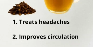 4️⃣ Poboljšava cirkulaciju Zahvaljujući svojim stimulativnim svojstvima, karanfilić pomaže u poboljšanju protoka krvi i dotoka kiseonika do tkiva. Bolja cirkulacija znači više energije, bolju koncentraciju i smanjen umor. Osobe koje pate od hladnih ruku i nogu često primjećuju poboljšanje već nakon nekoliko dana redovne konzumacije ovog napitka. 5️⃣ Donosi osjećaj ravnoteže i energije Osim fizičkih koristi, voda s karanfilićem pozitivno djeluje i na mentalno blagostanje. Njegov topli, aromatični miris i prirodni sastojci djeluju umirujuće, smanjuju stres i donose osjećaj lakoće u tijelu. 🍵 Uvođenjem ove jednostavne navike – ispijanja šolje vode s karanfilićem svakog jutra – njegujete svoje tijelo na prirodan način, jačate imunitet i osjećate više energije svakog dana.