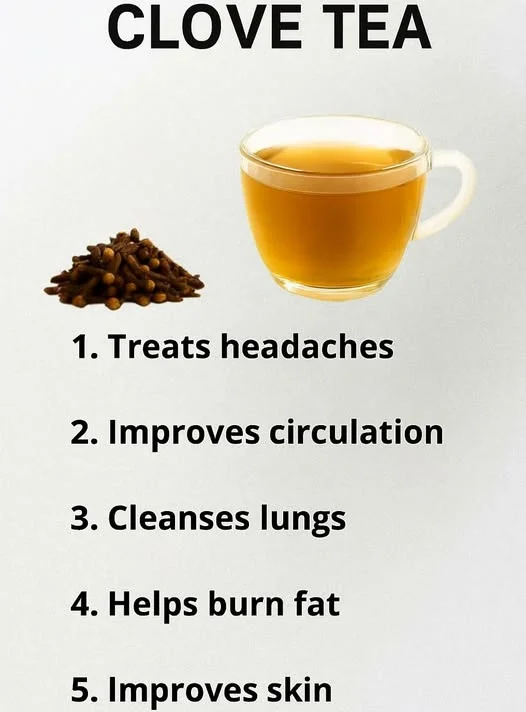 4️⃣ Poboljšava cirkulaciju Zahvaljujući svojim stimulativnim svojstvima, karanfilić pomaže u poboljšanju protoka krvi i dotoka kiseonika do tkiva. Bolja cirkulacija znači više energije, bolju koncentraciju i smanjen umor. Osobe koje pate od hladnih ruku i nogu često primjećuju poboljšanje već nakon nekoliko dana redovne konzumacije ovog napitka. 5️⃣ Donosi osjećaj ravnoteže i energije Osim fizičkih koristi, voda s karanfilićem pozitivno djeluje i na mentalno blagostanje. Njegov topli, aromatični miris i prirodni sastojci djeluju umirujuće, smanjuju stres i donose osjećaj lakoće u tijelu. 🍵 Uvođenjem ove jednostavne navike – ispijanja šolje vode s karanfilićem svakog jutra – njegujete svoje tijelo na prirodan način, jačate imunitet i osjećate više energije svakog dana.