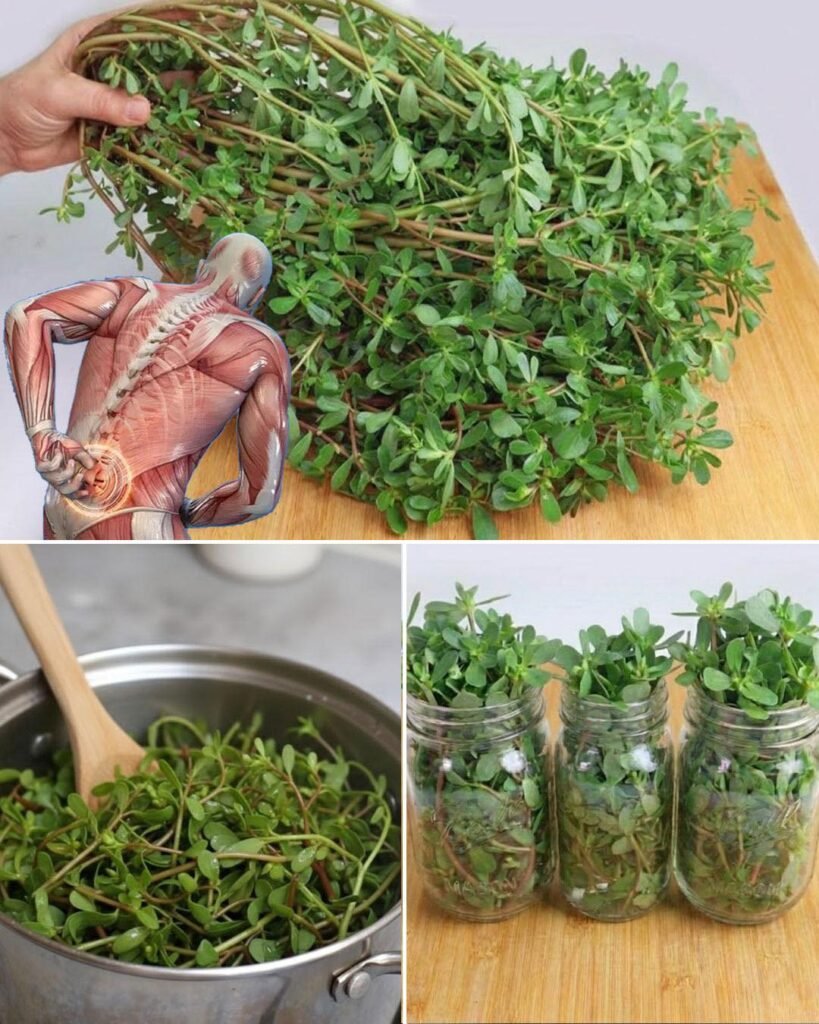 Ova biljka je ukusnija od mesa! 8 razloga da je imate u svom vrtu 🌿