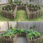 Kako napraviti podignuti vrt od pruća (wattle raised garden bed) – potpuni vodič 🌿