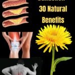 Maslačak je biljka koju mnogi smatraju običnim korovom, ali u stvarnosti on je izuzetno vrijedan prirodni saveznik zdravlja.