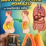 14 Nevjerovatnih Prednosti Sjemenki Papaje i Kako ih Koristiti kao Prirodni Lijek 🌿✨