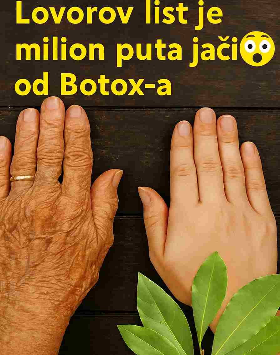 Kad pomislim na žene u svojoj porodici, sjetim se njihovih tihih rituala — jednostavnih načina na koje su se brinule o sebi mnogo prije modernih krema i skupih tretmana. Među staklenkama začinskog bilja u kuhinji moje nane uvijek je stajalo jedno koje je posebno voljela: lovorov list. Uvijek bi se nježno osmjehnula dok bi nekoliko listova ubacila u toplu vodu, puštajući da se para podigne oko njenog lica. “Priroda nam daje sve što nam treba,” šaputala bi. I iako nikada nije govorila o borama ili linijama, njena je koža uvijek imala onaj mekani, smireni sjaj koji dolazi iz godina nježne i pažljive brige o sebi. Danas ljudi pričaju uzbuđeno o skupim beauty trendovima, ali se mnogi i dalje vraćaju ovom skromnom listu — ne kao čudesnom lijeku, već kao umirujućoj tradiciji koja pruža relaksaciju, mekoću kože i osjećaj prirodnog blagostanja. Tradicionalne Prednosti (Narodna Mudrost) Iako lovorov list nije zamjena za kozmetičke tretmane, generacijama se koristio u domaćoj njezi. U narodnim praksama vjeruje se da: pomaže u opuštanju svojim toplim, umirujućim mirisom osvježava kožu kroz blagu parnu njegu sadrži prirodne antioksidanse povezane s opštim zdravljem kože tonira i čisti lice u tradicionalnim beauty ritualima podržava cirkulaciju kroz tople obloge Ove upotrebe potiču iz tradicije, a ne iz medicinskih tvrdnji — jednostavni načini na koje su se porodice brinule o sebi koristeći darove prirode. Domaći Parni Tretman s Lovorovim Listom Sastojci: 4–6 suhih lovorovih listova 2 šolje vruće vode Posuda i čista peškira Uputstvo: Prokuhajte vodu i pažljivo je prelijte u posudu otpornu na toplotu. Dodajte lovorove listove i ostavite da odstoje 1–2 minute. Nagnite lice iznad posude na udobnoj udaljenosti i prebacite peškir preko glave da zadržite paru. Dišite duboko i pustite da topla, aromatična para nježno dodiruje vašu kožu 5–7 minuta. Nježno osušite lice i nanesite svoju omiljenu prirodnu hidratantnu kremu. Mnogi vole ovaj ritual zbog njegovog umirujućeg mirisa i svježeg osjećaja koji ostavlja na koži. Dodatni Savjeti Toner od lovora: Prokuhajte 3–4 lista u jednoj šolji vode, ostavite da se ohladi i koristite kao blagi losion za lice. Kupka za opuštanje: Ubacite šaku lovorovih listova u toplu kupku za osjećaj kućnog spa tretmana. Aromatično ulje: Potopite lovorove listove u zagrijano ulje da dobijete mirisno ulje za masažu koje se tradicionalno koristi za opuštanje. Osvježivač doma: Stavite nekoliko listova u fioke ili ormare za prirodan, prijatan miris. Topla Završna Poruka Lovorov list nas podsjeća da ljepota, udobnost i briga o sebi ne moraju dolaziti iz skupih bočica — ponekad dolaze iz najjednostavnijih stvari koje smo imali u kuhinji generacijama. Ako vas ovaj starinski ritual privlači, probajte ga uvrstiti u svoju sedmičnu rutinu i pogledajte kako se osjećate. I zapamtite: ovo je tradicionalna narodna praksa, a ne medicinski ili kozmetički savjet. Ako imate probleme s kožom ili posebna stanja, posavjetujte se s profesionalcem prije isprobavanja novih rituala.