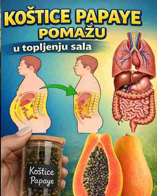 14 Nevjerovatnih Prednosti Sjemenki Papaje i Kako ih Koristiti kao Prirodni Lijek 🌿✨