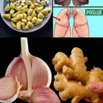 Prirodni duo koji može podržati vaše zdravlje cijelog života 🌿🧄🫚