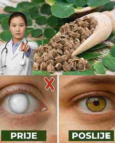 12 moćnih prednosti sjemenki Moringe koje doktori rijetko spominju 🌿