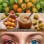 Zlatne bobice: Nutritivna snaga koja može poboljšati zdravlje i vid