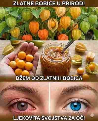 Zlatne bobice: Nutritivna snaga koja može poboljšati zdravlje i vid