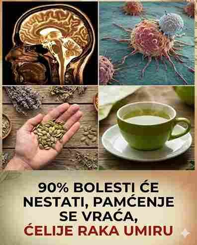 „Skenirao sam 250.000 mozgova“: Ove 5 namirnice mogu učiniti vaš mozak mlađim za samo 2 mjeseca 🧠