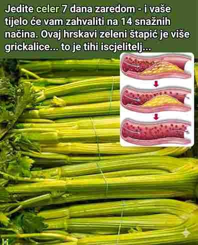 Jedite Celer 7 Dana – Šta Se Dešava