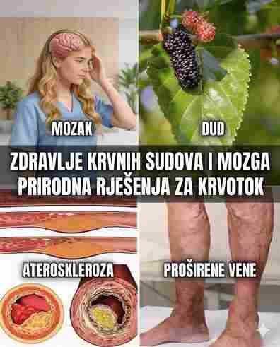 Jedan List Uništava Dijabetes i Visok Pritisak: Eliminiše Bolove i Čisti Krv