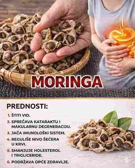 Moringa za zdravlje očiju: Prirodna tajna za njegu vida 👀🌿