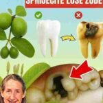 Top 3 načina kako tretirati karijes pomoću listova guave – jednostavno i povoljno