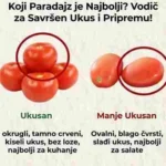 Kako odabrati prave paradajze za kuvanje i salate 🍅