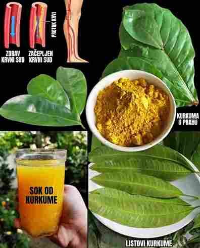 Moćni napitak koji, prema Dr. Franku Suárezu, može poboljšati zdravlje