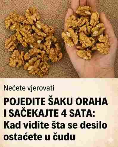 Pojela sam šaku oraha – evo šta mi se dogodilo nakon 4 sata! 🥜😲