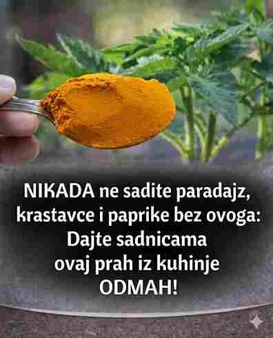 1 KAŠIKA Zamjenjuje Tonu Stajnjaka: Posipam Ovim Cijelu Baštu i Jedva Stižem Sve Ubrati!