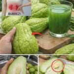 Chayote – Prirodno rješenje za bolove u koljenima i druge zdravstvene probleme