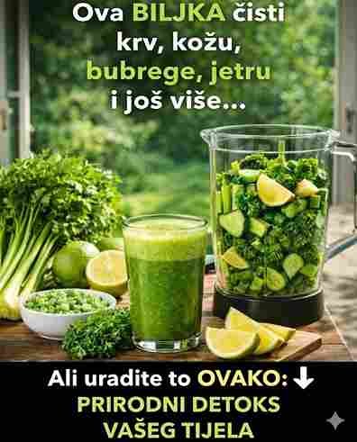 10 Načina da Zaustavite Zubobolju u Jednoj Minuti: Prirodna Hitna Pomoć