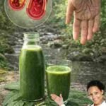 Prirodni listovi i biljni napici za podršku zdravlju