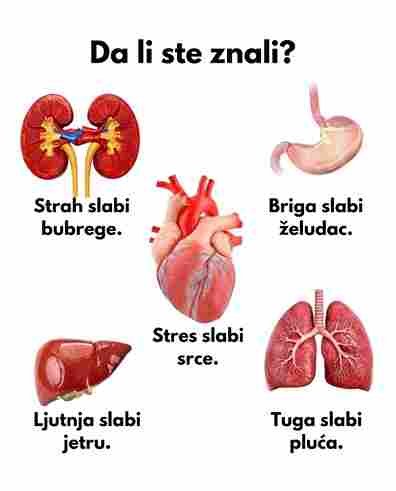 Emocije koje utiču na vaše organe 🌿